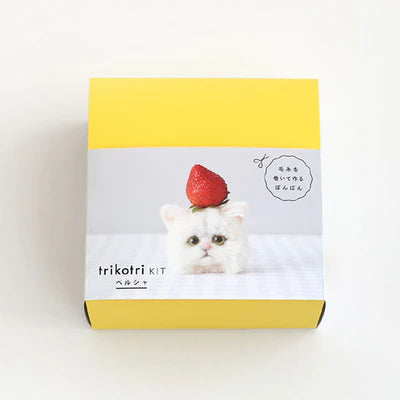 DARUMA TRIKOTRI KIT 148G - Hands On Workshop