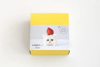 DARUMA TRIKOTRI KIT 148G - Hands On Workshop