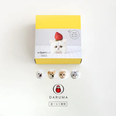 DARUMA TRIKOTRI KIT 148G - Hands On Workshop