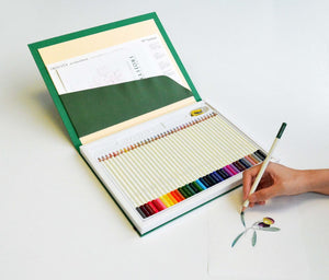 Tombow Irojiten彩色铅笔 -  36个选定的颜色套装