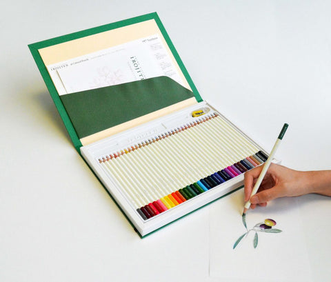 Crayons de couleur Irojiten Tombow - 36 Ensemble de couleurs sélectionné